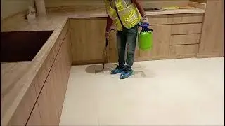 🐜 Indoor Pest Control Services