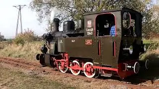 Jesień z Parowozem 2024 na Kolei Wąskotorowej w Rudach - Parowóz Las49-3343 - Kolej Wąskotorowa Rudy