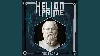 The Gadfly