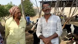 डॉक्टर सांगतात मिल्कचार्जर वापरा,40वर्षापूर्वीचे दर्जेदार शेणखत मिळवा,लंपी तर येतच नाही अन दूध 1नंबर