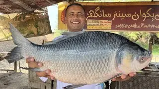 Fish Dum Pukht Recipe | Slow Cooked Fish | Rice Cooked Inside The Fish | Village Food Secrets