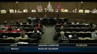 Testimony against long gun carry by permitted individuals