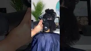 RevAir | Upgrade Your Blow Dryer