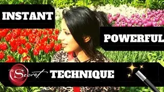 Manifest Miracles- Powerful Instant Manifestation Technique Using Law Of Attraction