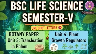 Translocation in Phloem/PGR (Unit 3 & 4) One Shot Lecture  B.Sc Life Science Sem-V Botany