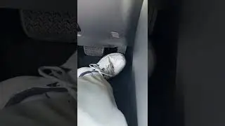 Toyota RAV4 hybrid 2020 brake noise when releasing brake pedal