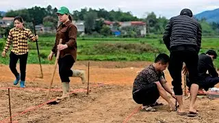 LY TIEU HA assisted CEO Quy in leveling land to make a flower growing area