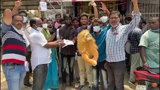 🦁Loin on the way in 55 Division, bheemaram, hanumakonda 🦁💪🙏