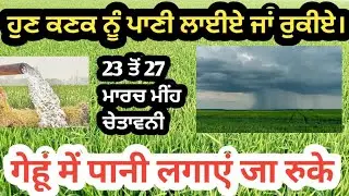 ਹੁਣ ਕਣਕ ਨੂੰ ਪਾਣੀ ਲਾਈਏ ਜਾਂ ਰੂਕੀਏ। ਮੀਂਹ ਅਲਰਟ 22-23-24-25  ਕਣਕ ਸੋਕਾ ਸਹਿ ਸਕਦੀ ਪਰ ਜਿਆਦਾ ਪਾਣੀ ਨਹੀਂ।