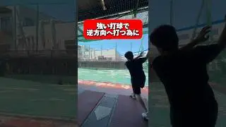 強い打球で逆方向に打つ為にこの練習をやってみよう！ #野球 #baseball #バッティング #レッスン #練習 #プロ野球 #bba