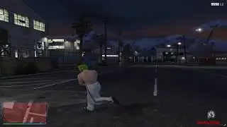 Hawaiian Dylan - K9 Redzone