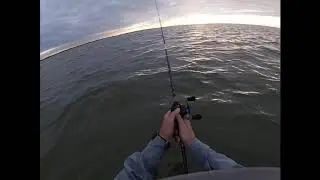 Inshore Mafia - East Bay Northshore Reefs