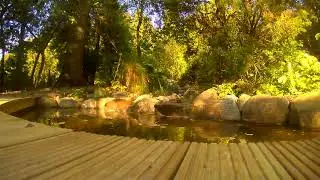 The Linn Time Lapse Test 1
