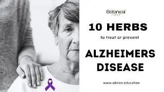 10 herbs to treat and prevent Alzheimers Disease #alzheimer