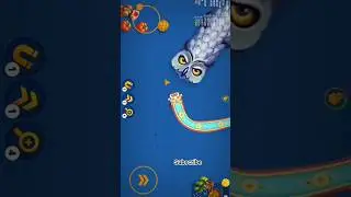 Worms Zone | Hungry Snake Kill the King Gameplay | #wormszone #stupid_snake