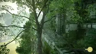 How to reach the Secret Garden without max stamina (Shadow of the Colossus)