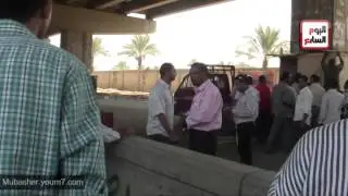 صفط اللبن بين كرباج الحكومة و لقمة العيش