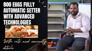 800 eggs fully automatic incubator!! | TFO Farm channel