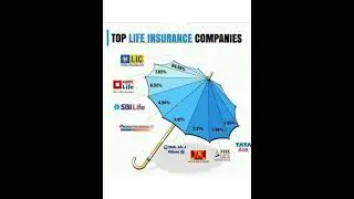 Top Life Insurance Companies | Insurance companies in India | Best insurance company 2022 |#LIC #SBI