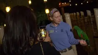 Brew at the Zoo