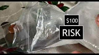 I Spent $100 on a Mystery Coin Grab Bag&hellip; You Won&rsquo;t Believe What I Got!
