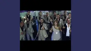 Yasa tefco