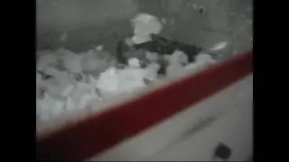 EPS Compactor for Waste Polystyrene Recycling
