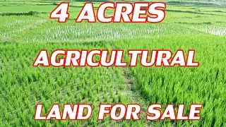 4 ACRES AGRICULTURAL LAND FOR SALE | PER YEAR 2 TIMES RICE CULTIVATION LAND | BUY & SELL WITH DUDDU