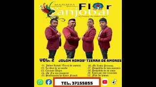 Marimba Flor Q'anjob'al Vol 2.    10. Flor de temux