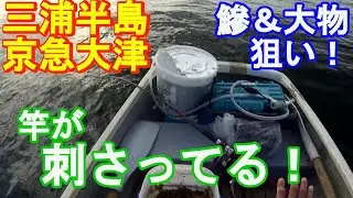 ♯277【京急大津ボート釣り】アジ＆大物狙い！再びアジが消えた…、しかし、代わりに！！