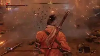 Sekiro - Training With Owl Father