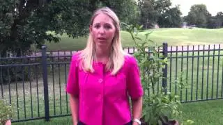 Sprinkler Magician Distributor Testimonial