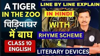 A Tiger in the Zoo | Class 10 English | Line by Line Explanation in Hindi 🐅📚