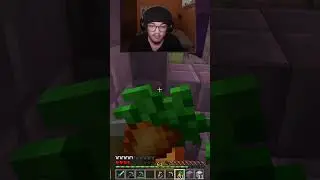 NO! SI!  #gaming #minecraft #foxcraft #valethefox #gameplay ita