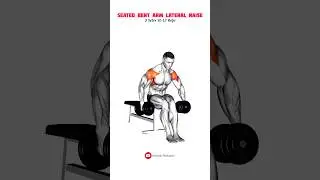 Top 5 Shoulder Workouts for Strength and Definition #workout #shoulderworkout