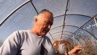 High Altitude Off Grid Greenhouse Still Producing In Freezing Temps