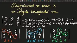 Regula triunghiului determinanti de ordin 3 exercitii rezolvate clasa a 11 a(Invata Matematica Usor)