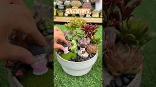 The 10-Minute Succulent DIY Project That Will Change Your Life