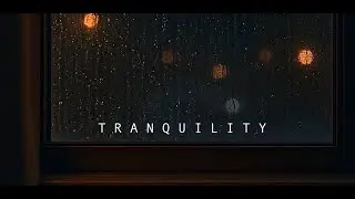 Light Rain on Window | Cozy Drizzle Ambience for Sleep, Study & Relaxation 5 Hours