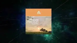 Soul Synth - While The Sun Still Shines For You (Original Mix) [ Alltum Records ]