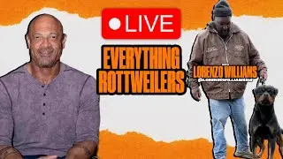 IGP3 Euro Rottweilers and The Training | Lorenzo Williams