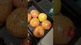 Live - Market Place, Rotterdam, The Netherlands - Supermarket