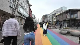 A Local's Guide To Reykjavik | Driving Tour Of Iceland's Capital
