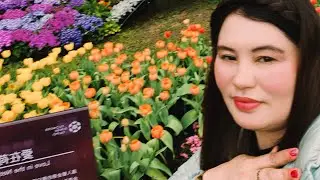 Explore Taiwan  Shilin flower festival