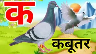 अ से अनार | आ से आम | a se anar | aa se aam | क से कबूतर | Ka se kabutar | स्वरब्यंजन #kasekabutar 