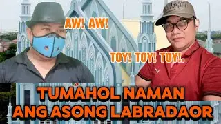 ASONG LABRADOR GUTOM NA GUTOM KAYA KAHOL  NG KAHOL AT NANGHIHINGE NG MAKAIN&hellip;
