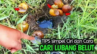 Cara Cari Lubang Belut Dengan Mudah  