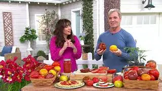 Phillip Watson Designs 3-piece Heirloom Tomato Plants on QVC