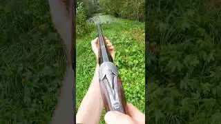 Ambush hunting Ducks in the rain with a beautiful over/under Shotgun