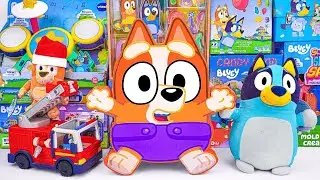 Bluey Toy Collection Unboxing Review 🐾 Mystery Baby Bingo Box & Bluey Hooray Drum Set